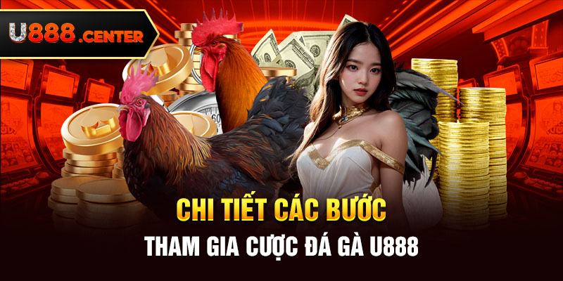 Chi tiết các bước tham gia cược đá gà U888