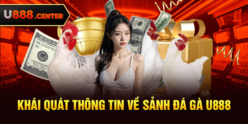 Khái quát thông tin về sảnh đá gà U888