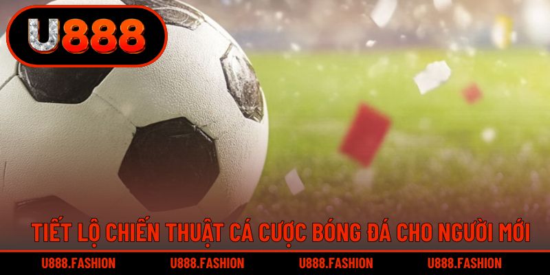 Thành viên học hỏi bí kíp để nâng cao khả năng thắng