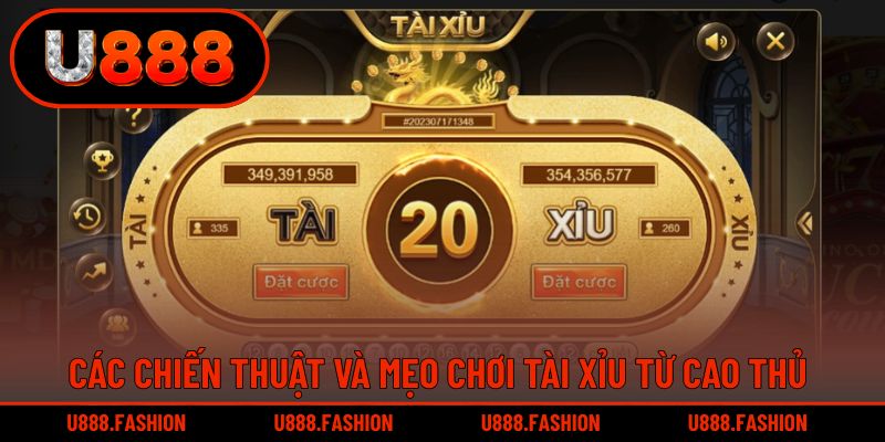 Học hỏi chiến lược từ các cao thủ trong giới cá cược