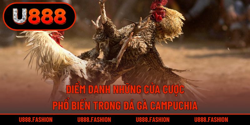 Chọi kê Campuchia có nhiều loại hình thức khác nhau