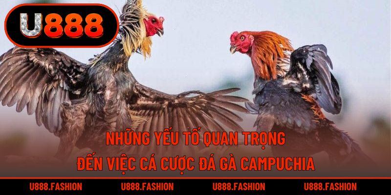Thành viên cần nắm rõ những yếu tố ảnh hưởng đến chiến kê