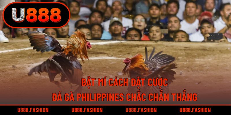 Thành viên nắm vững cách đặt cược chuẩn xác