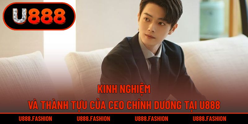 Những kinh nghiệm và thành tựu nổi bật của CEO