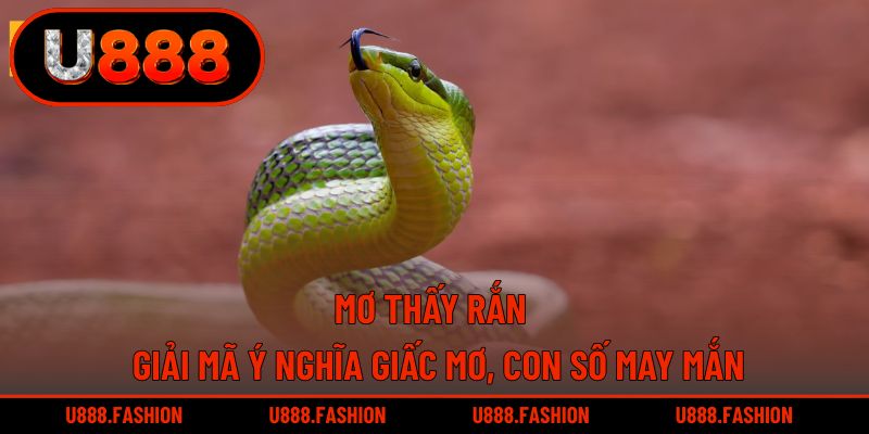 Mơ Thấy Rắn - Giải Mã Ý Nghĩa Giấc Mơ, Con Số May Mắn