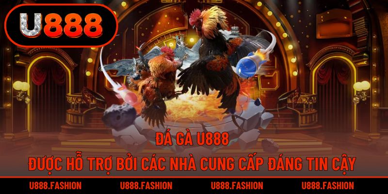Các đơn vị cung cấp hàng đầu luôn hỗ trợ
