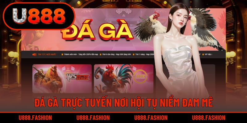 Đá gà trực tuyến nơi hội tụ niềm đam mê