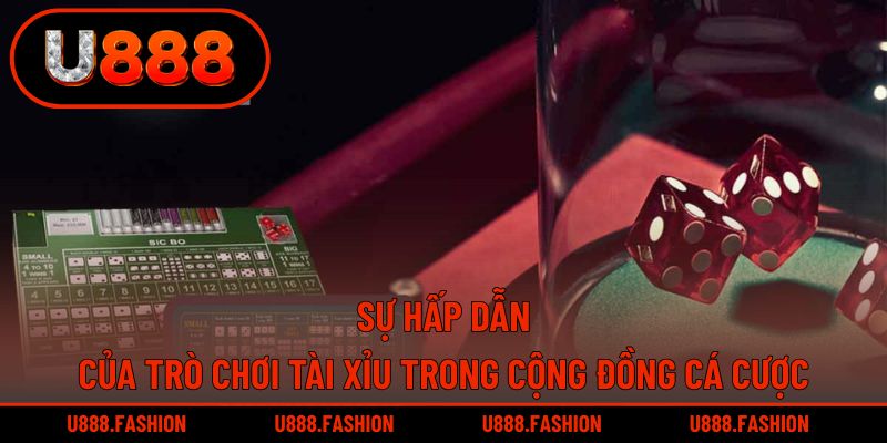 Sức hút khó cưỡng của Tài Xỉu trong cộng đồng bet thủ
