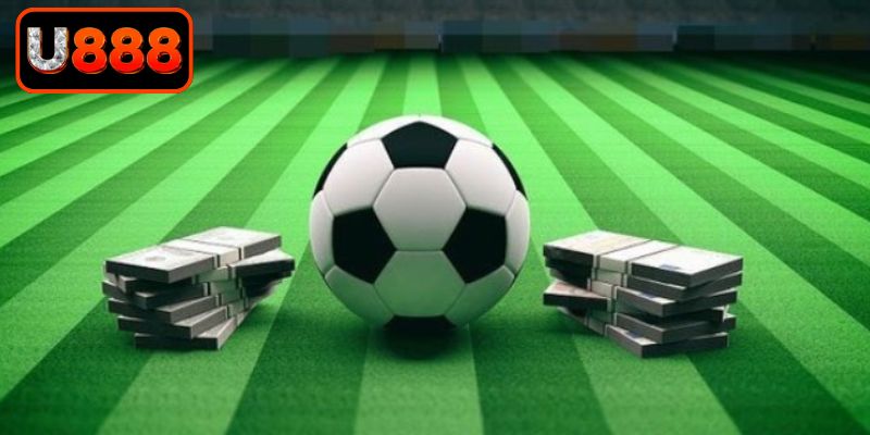 Kỹ năng phân bổ tài chính cho dự báo đúng