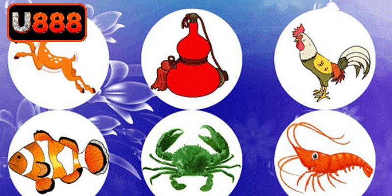 Lộ trình tham gia giải trí chuyên nghiệp nhất