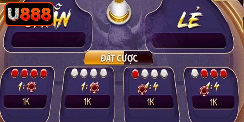 Thấu hiểu cách nghe vị xóc đĩa qua âm thanh