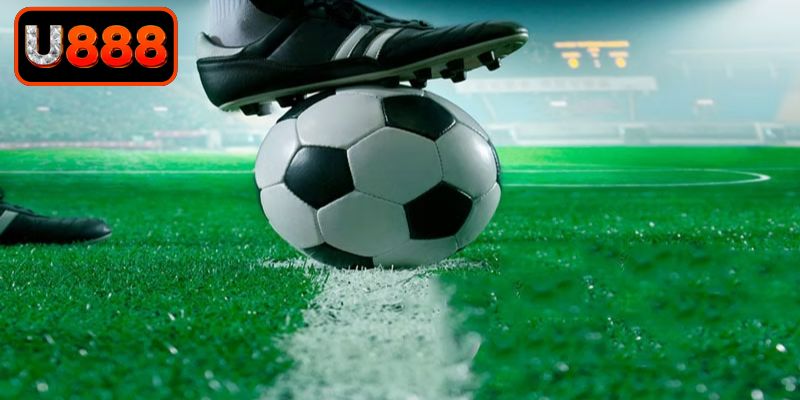 Tìm hiểu các quy tắc tính toán dự đoán chuẩn